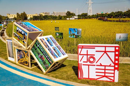 文艺矩阵赋能东莞 以原创力提升品质文化之都