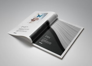 一希品牌设计 为卡梅隆艺术文化学校打造独具匠心的画册与宣传册